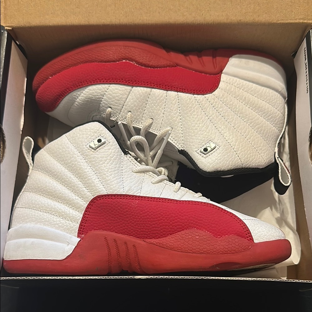 Cherry Jordan 12